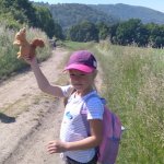 phoca_thumb_m_veverky v lese 11 Fotogalerie